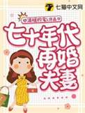 七十年代再婚夫妻小说推文